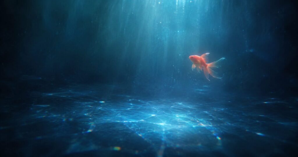 『蜜のあわれ』の幻想的な世界観や金魚が導く夢幻的な雰囲気を表すイメージ画像
